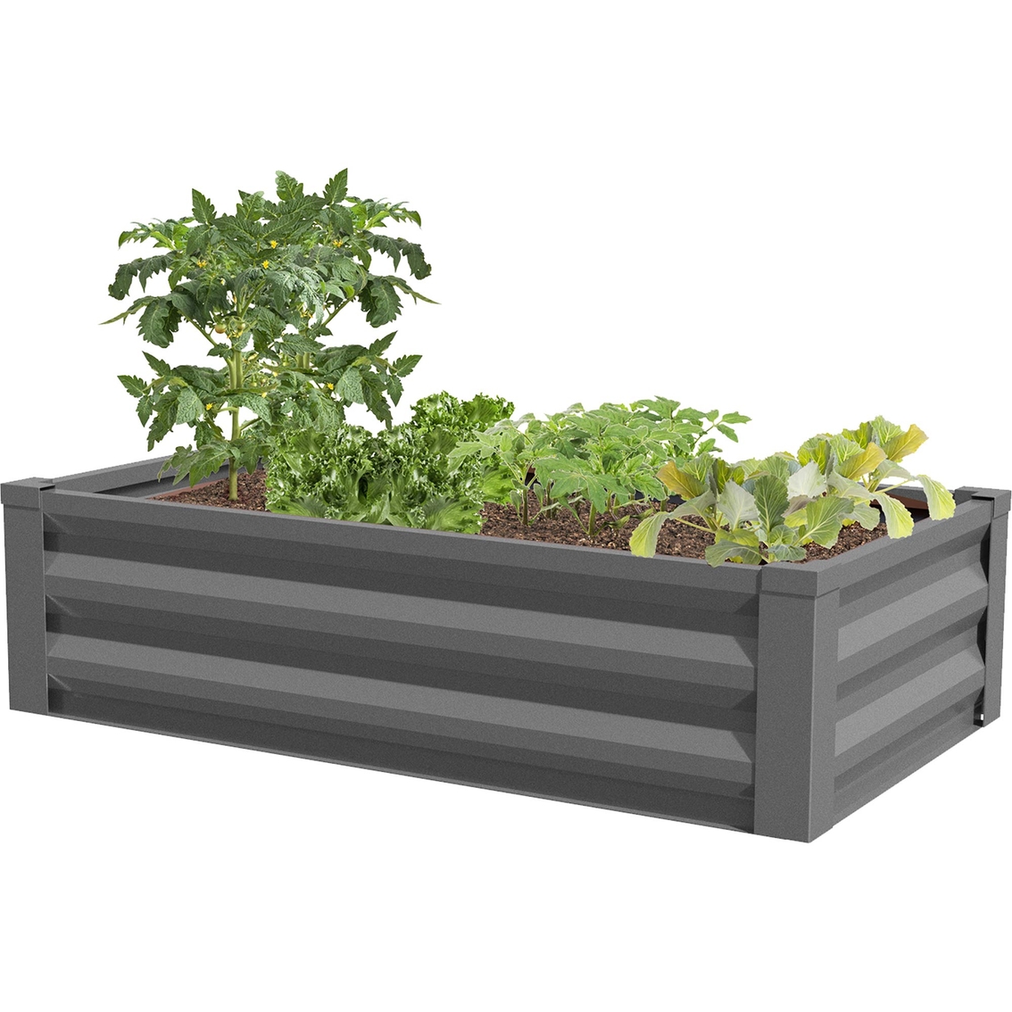 Greenes Fence Co. 48 x 24 x 10 in. Powder-Coated Metal Raised Garden Bed Planter