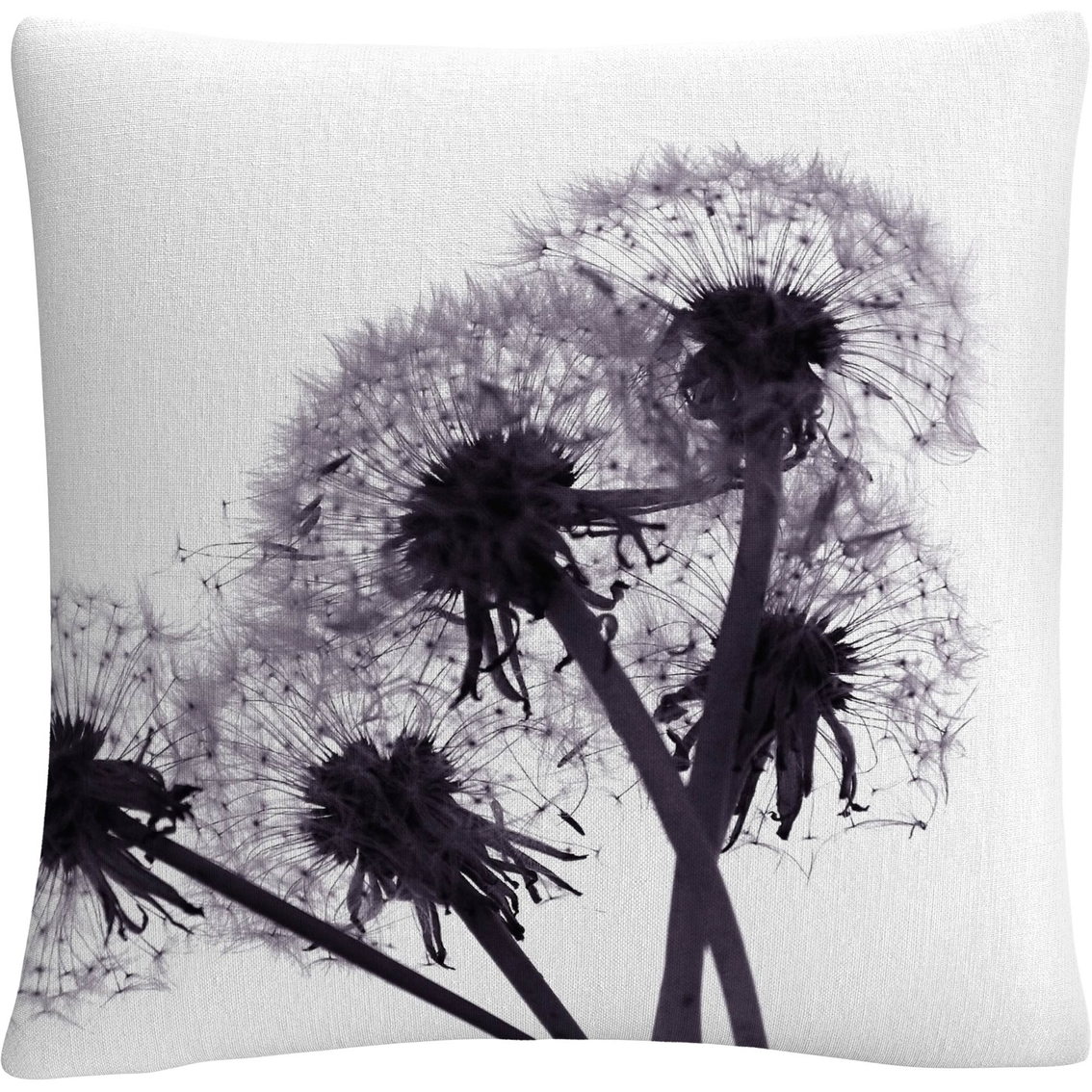Trademark Fine Art Bunch of Wishes Decorative Throw Pillow