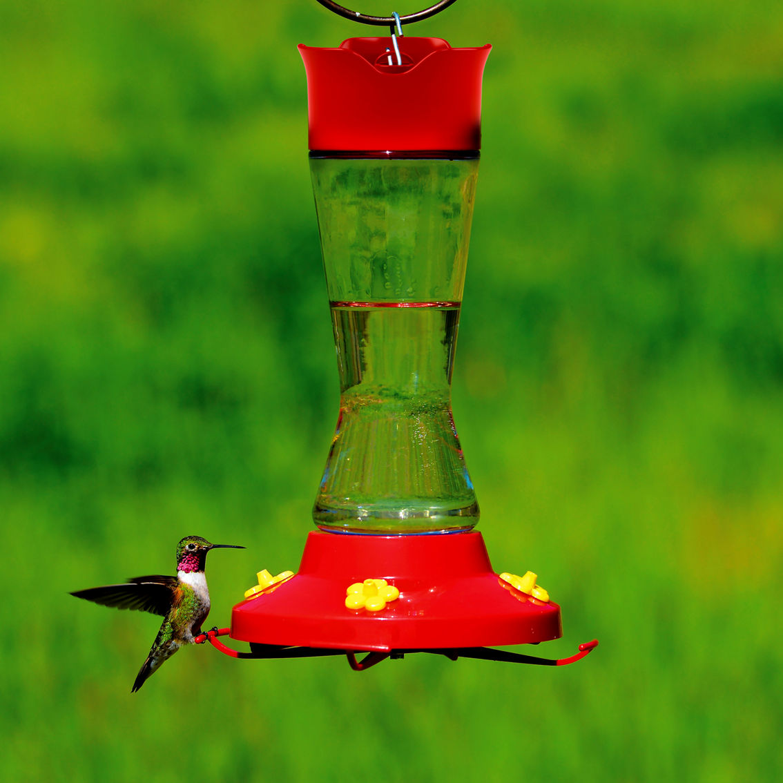 Perky-Pet Popular Pinch Waist Hummingbird Feeder - Image 3 of 3