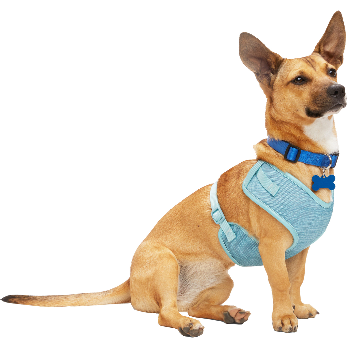 Every Yay Pullover Dog Harness - Image 2 of 10