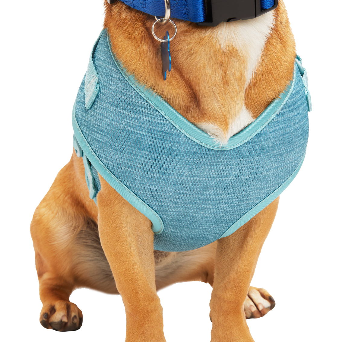 Every Yay Pullover Dog Harness - Image 3 of 10