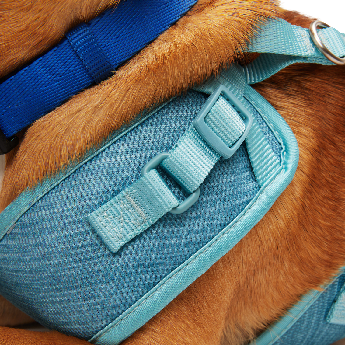 Every Yay Pullover Dog Harness - Image 5 of 10