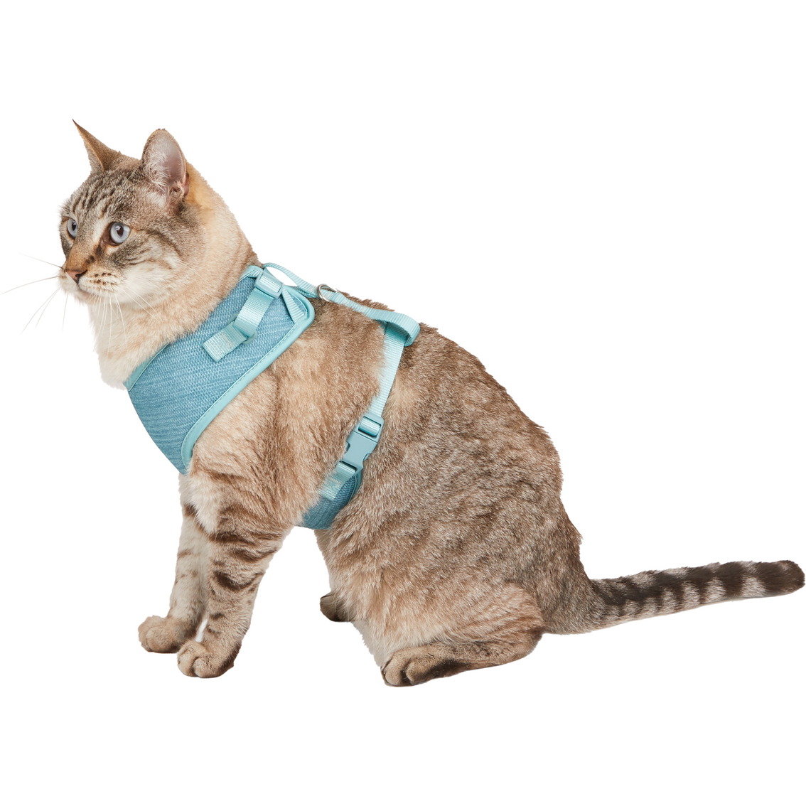 Every Yay Pullover Dog Harness - Image 7 of 10