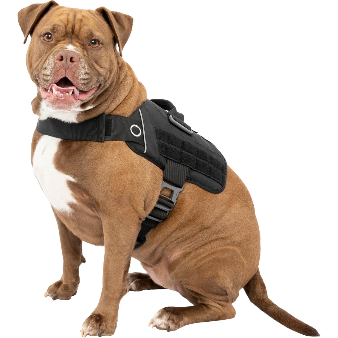 Kurgo RSG Townie Pet Harness, Black - Image 2 of 4