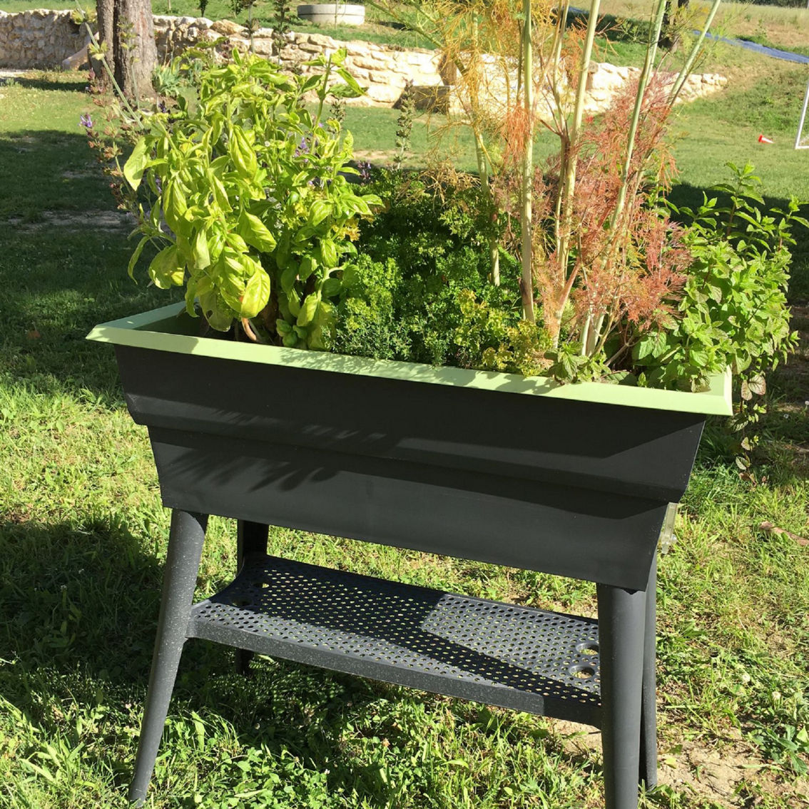 Bosmere Maxi 32 x 15 x 31.5 in. Self-Watering Plastic Raised Garden Bed - Image 3 of 8