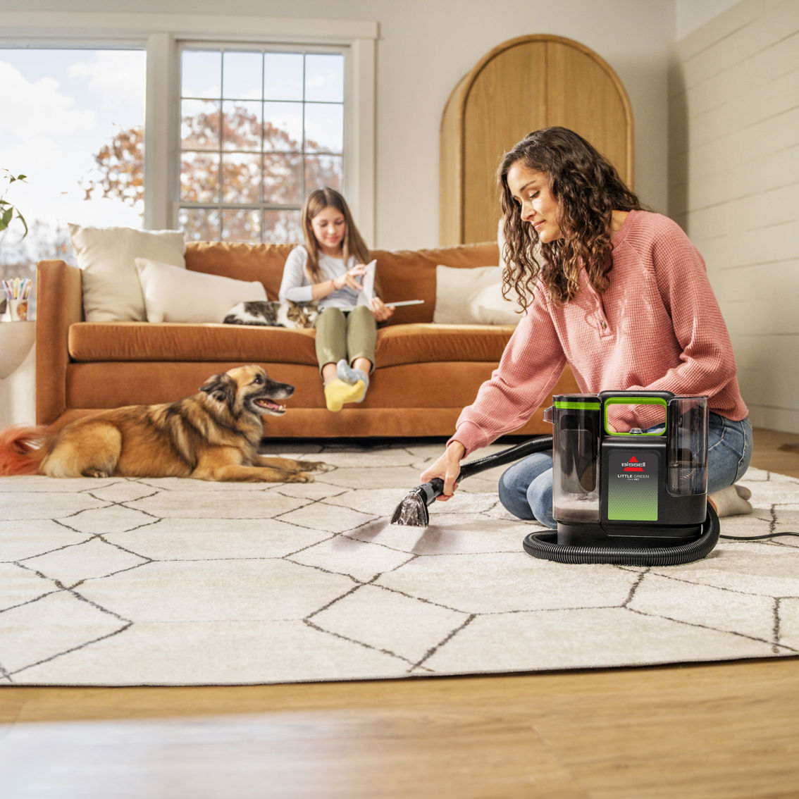 Bissell Little Green Max Pet Portable Deep Cleaner - Image 7 of 8