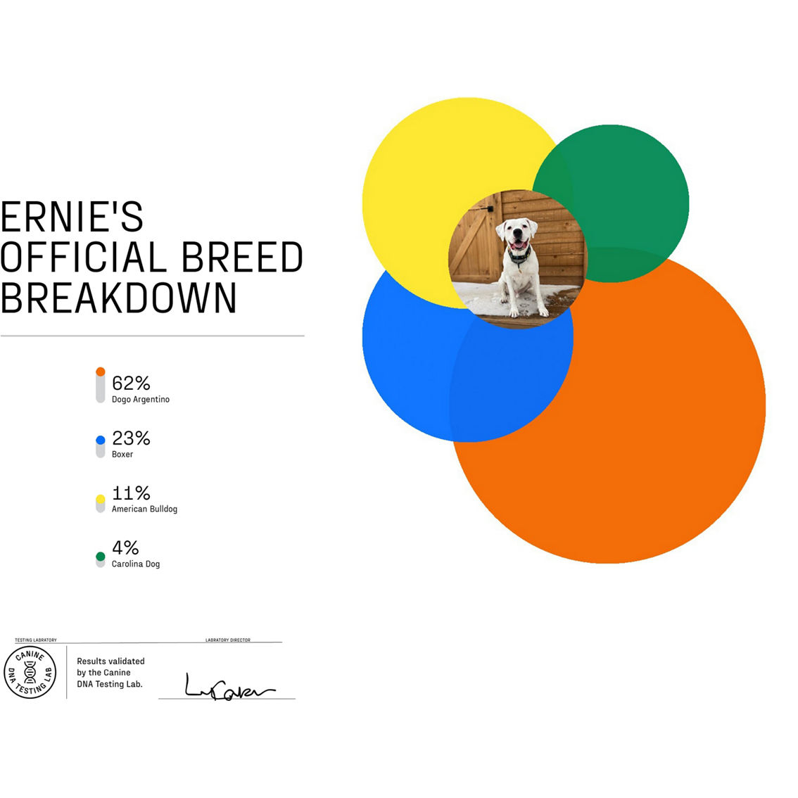 DNA My Dog Premium Breed ID Test - Image 4 of 5