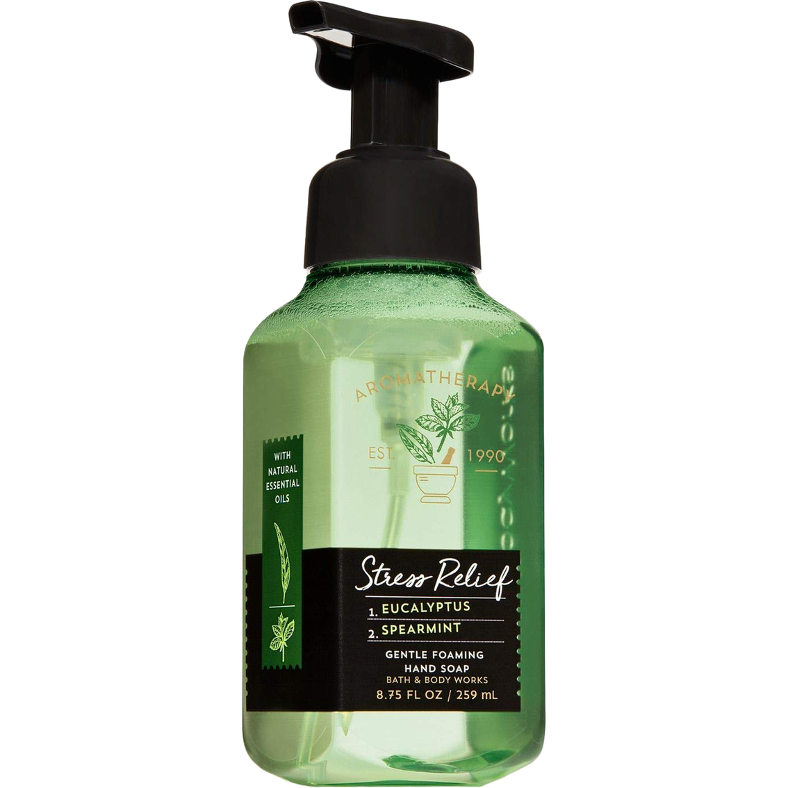 Bath & Body Works Stress Relief Eucalyptus and Spearmint Gentle Foaming Hand Soap
