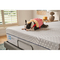 Sealy 13 in. Posturepedic Foam Soft Mattress - Image 6 of 6