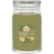 Yankee Candle Sage and Citrus Signature Large Jar Candle - Image 1 of 2