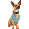 Every Yay Pullover Dog Harness - Image 1 of 10