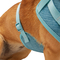 Every Yay Pullover Dog Harness - Image 4 of 10