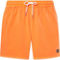 Oakley Robinson RC 16 in. Beachshorts - Image 4 of 4