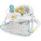 Fisher-Price Deluxe Sit-Me-Up Floor Seat - Image 1 of 2