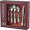 Cambridge Waylen Mirror 40 pc. Flatware Set with Caddy - Image 1 of 6