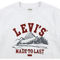 Levi's Boys Hiking Season Graphic Tee - Image 3 of 4