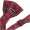 Eagles Wings Men's Garnet South Carolina Gamecocks Oxford Bow Tie - Image 3 of 3